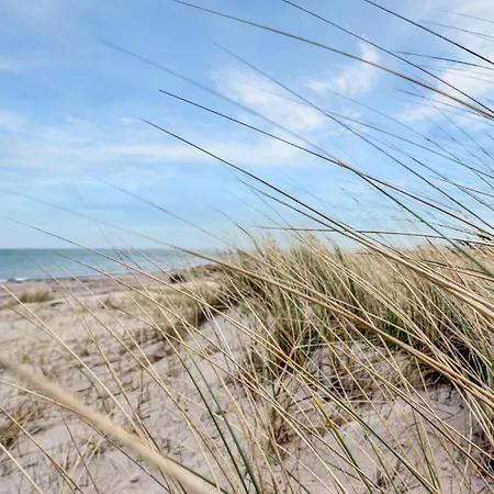 Lovely In With Kitchen Tatil Evi *